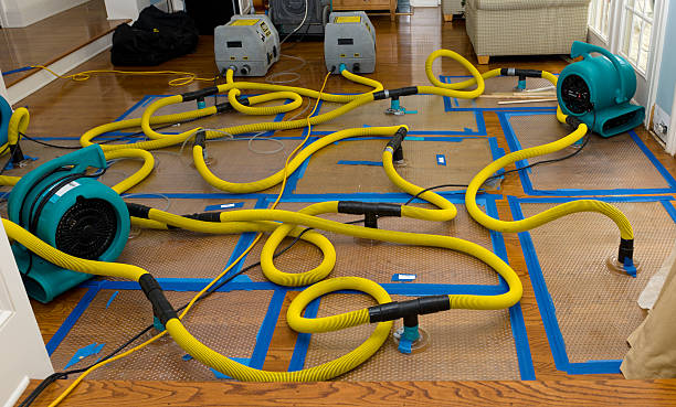 Professional Water Damage Restoration technician working in Thor, IA